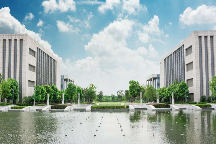 Link Building Services That Strengthen SEO Authority and Rankings